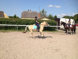 img_2216_web